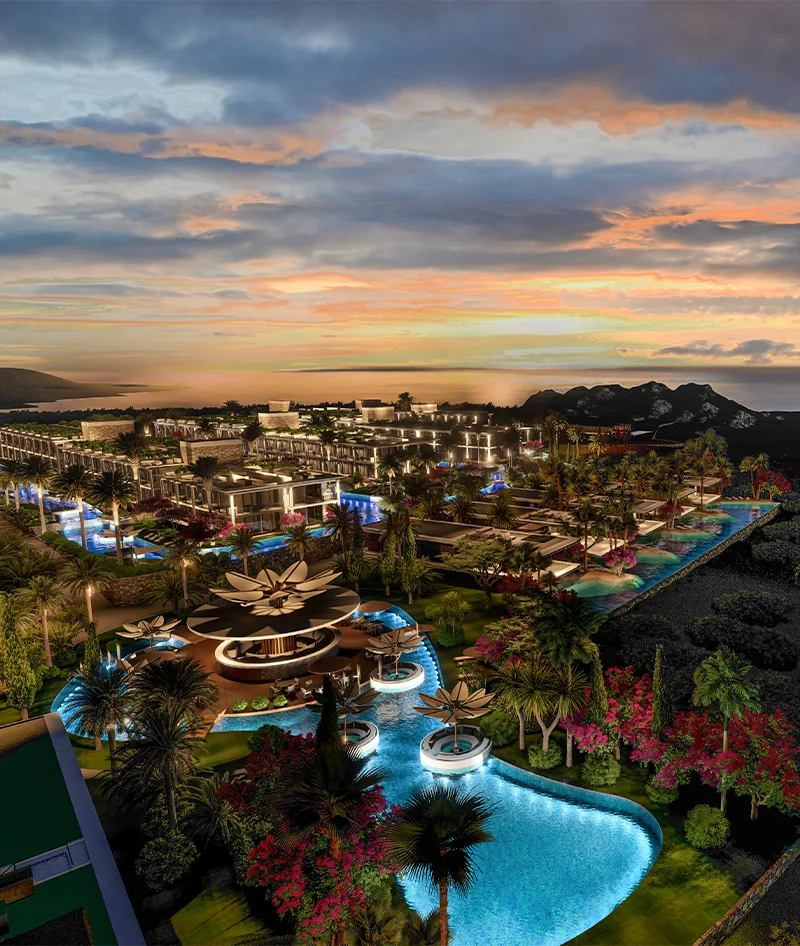 golden nest hakkında